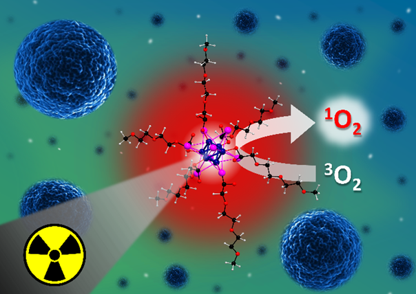 A water-soluble octahedral molybdenum cluster complex as a potential agent for X-ray induced photodynamic therapy