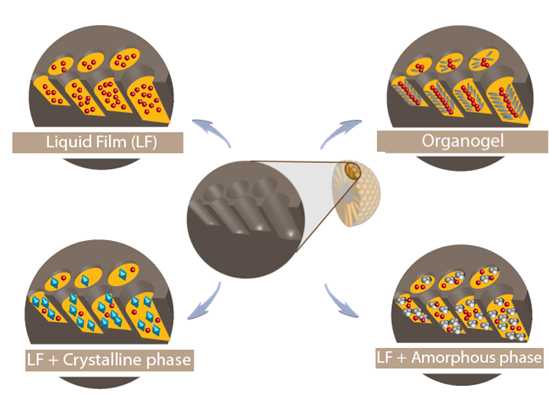 Schéma vnitřní architektury typických hybridních anorganicko-organických liquisolid systémů