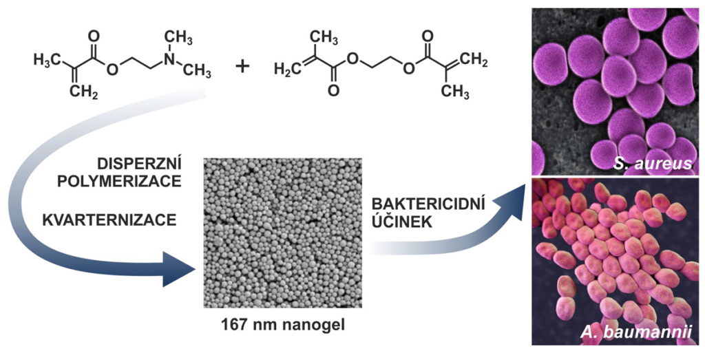 PDMAEMA nanogely – hydrofilní hydrogelové částice s baktericidním účinkem