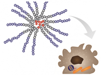 Polymerní nanočástice pro léčbu tuberkulózy
