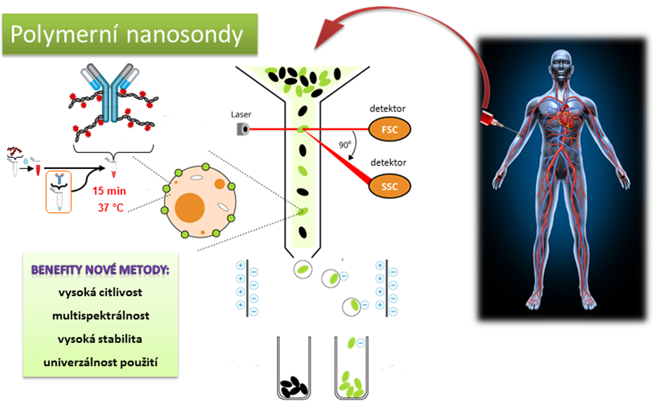 Polymerní nanosondy pro účinnější diagnostiku nádorových onemocnění