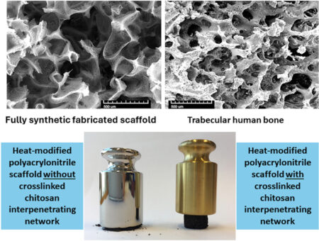 Polyacrylonitrile-chitosan IPN composite scaffolds that closely mimic the human trabecular bone structure for tissue engineering