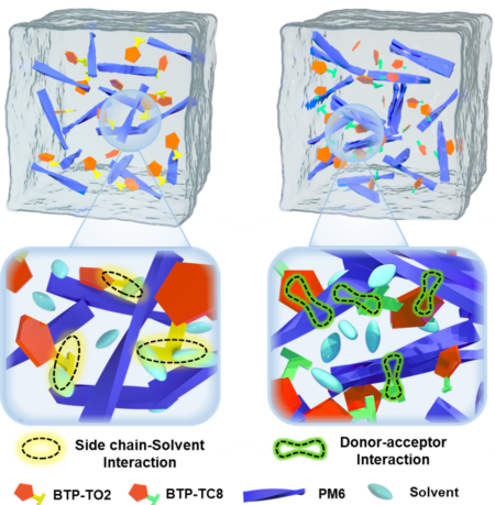 Equally high efficiencies of organic solar cells processed from different solvents reveal key factors for morphology control