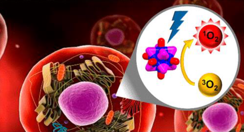 Institute of Inorganic Chemistry