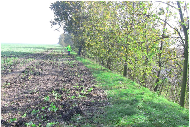 Pachová zradidla s biodegradabilním nosičem