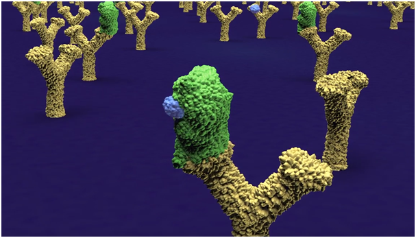 Start-up DIANA Biotechnologies v hledáčku invertorů