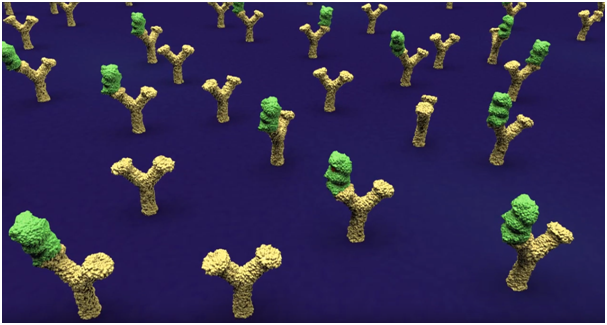 Start-up DIANA Biotechnologies v hledáčku invertorů