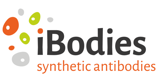 Evropský patent pro iBodies