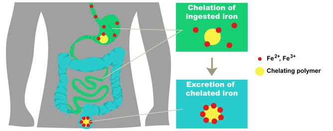 Pokroky ve vývoji polymerních léčiv