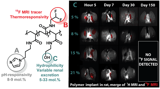 Pokroky ve vývoji polymerních léčiv