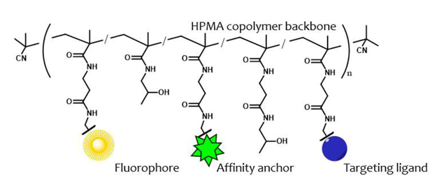 Licence na využití iBodies® pro měření volného testosteronu v krvi